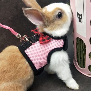 Bunny Harness Breathable Vest