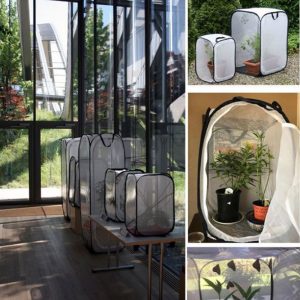 Butterfly Cage Mesh Enclosure