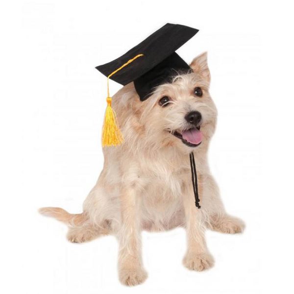Dog Graduation Cap Pet Costume