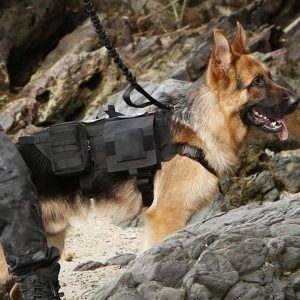 Military Dog Harness Army Vest