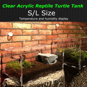 Reptile Tank with Temperature Display