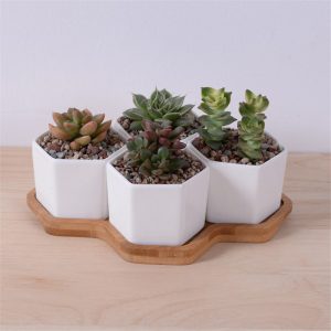 Small Planters Succulent Pots Set (4pcs)