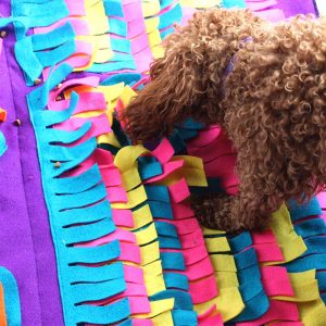 Snuffle Mat Pet Sniffing Toy Pad