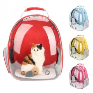 Transparent Breathable Cat Backpack